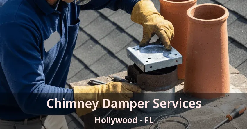 Chimney Damper Services Hollywood - FL