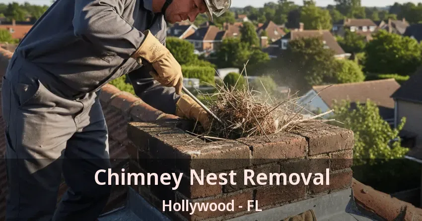 Chimney Nest Removal Hollywood - FL Chimney Nest Removal Hollywood - FL