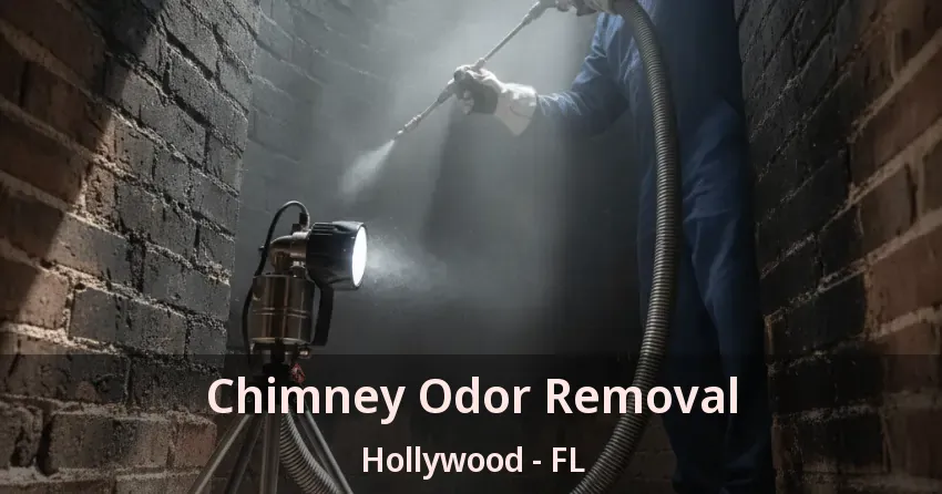 Chimney Odor Removal Hollywood - FL
