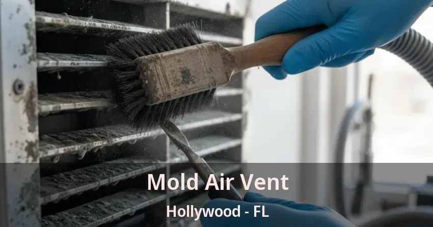 Mold Air Vent Hollywood - FL