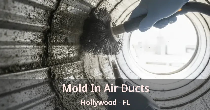 Mold In Air Ducts Hollywood - FL