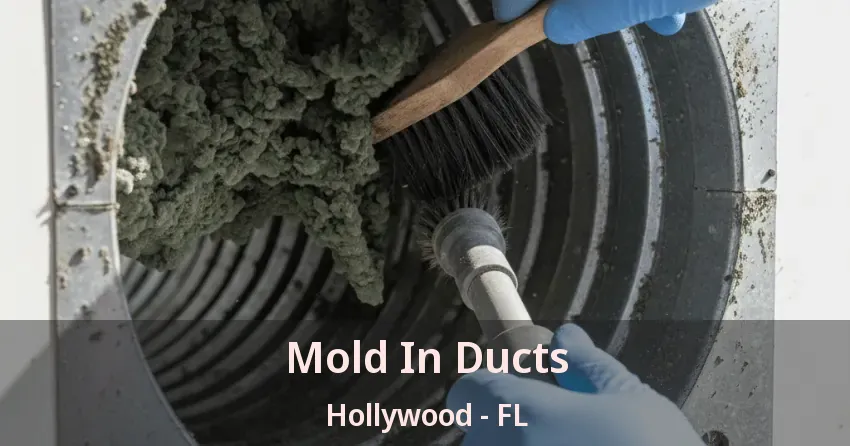 Mold In Ducts Hollywood - FL Mold In Ducts Hollywood - FL