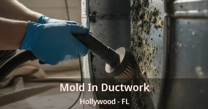 Mold In Ductwork Hollywood - FL