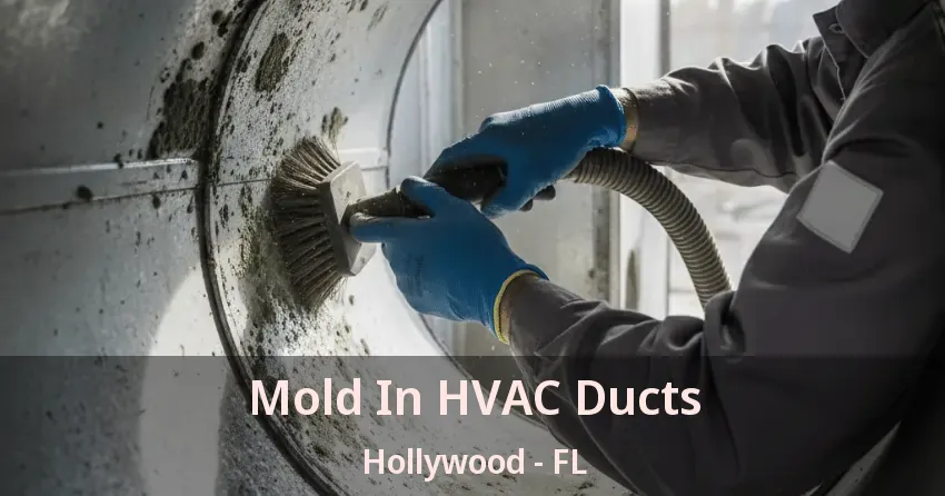 Mold In HVAC Ducts Hollywood - FL Mold In HVAC Ducts Hollywood - FL
