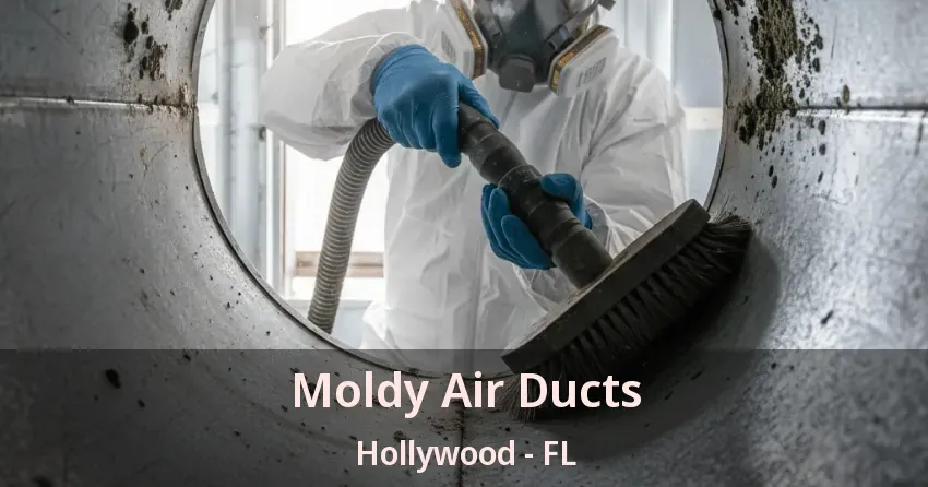 Moldy Air Ducts Hollywood - FL